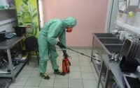 Услуги дезинсекции в Сочи